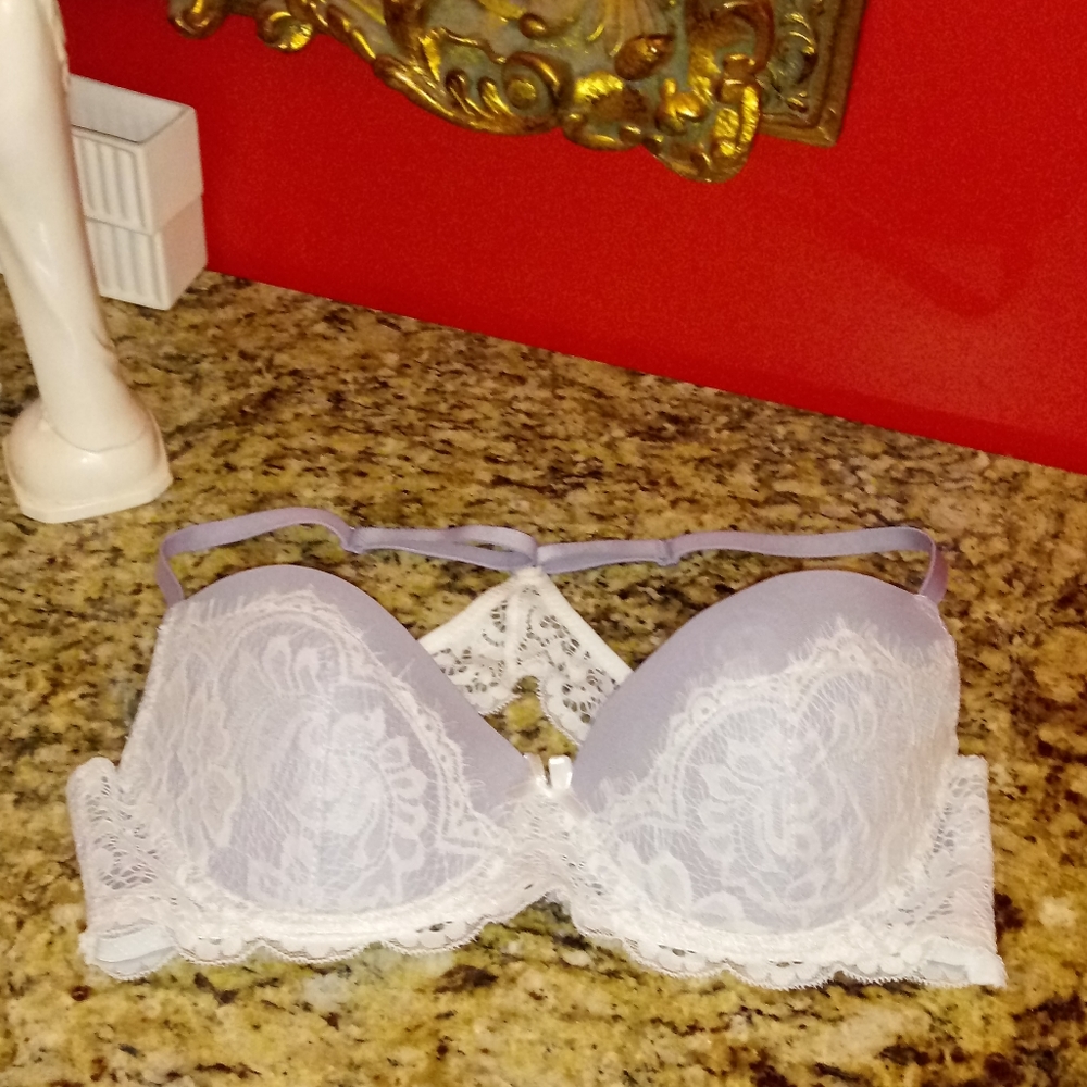 1210 Rampage Intimates Lace Mesh Bra